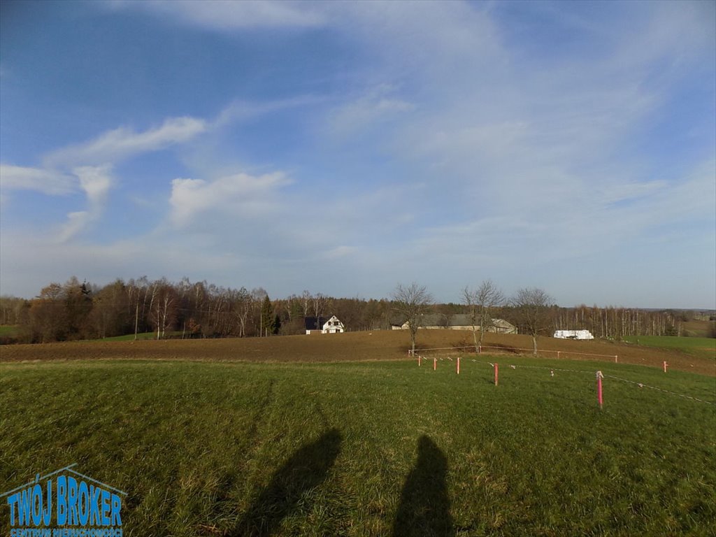 Działka budowlana na sprzedaż Pomieczyńska Huta  1 100m2 Foto 6