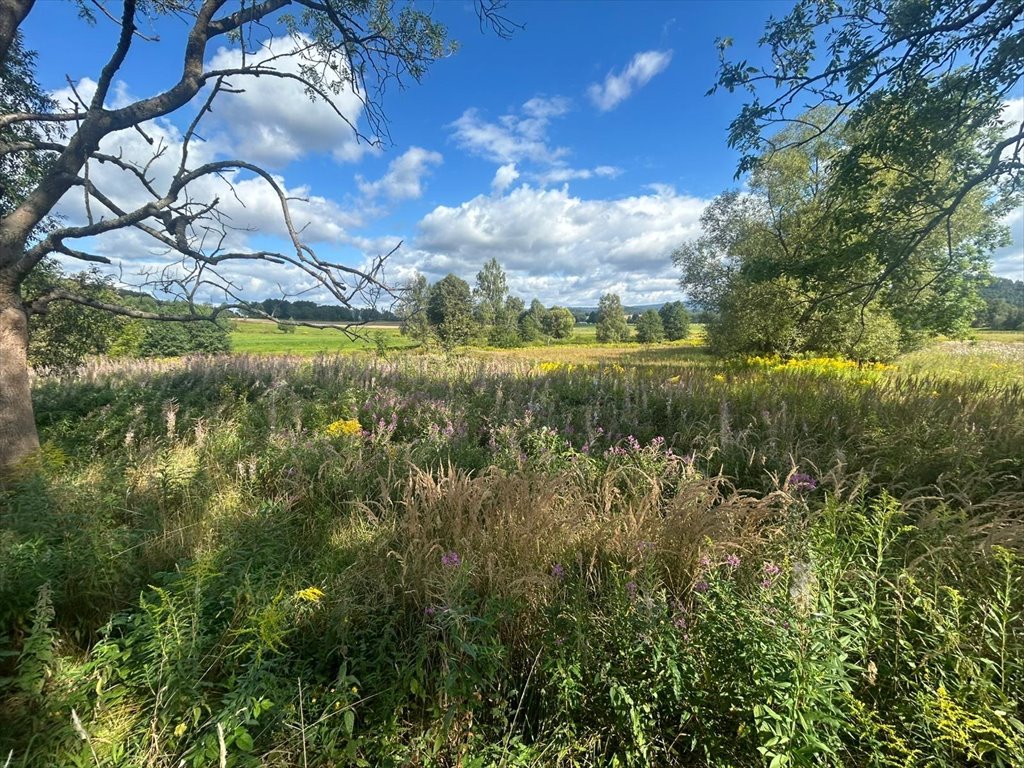 Malownicza działka 1,72 ha z widokami i bliskością Pałacu Łomnica Łomnica, Karpnicka  17 200m2 Foto 1