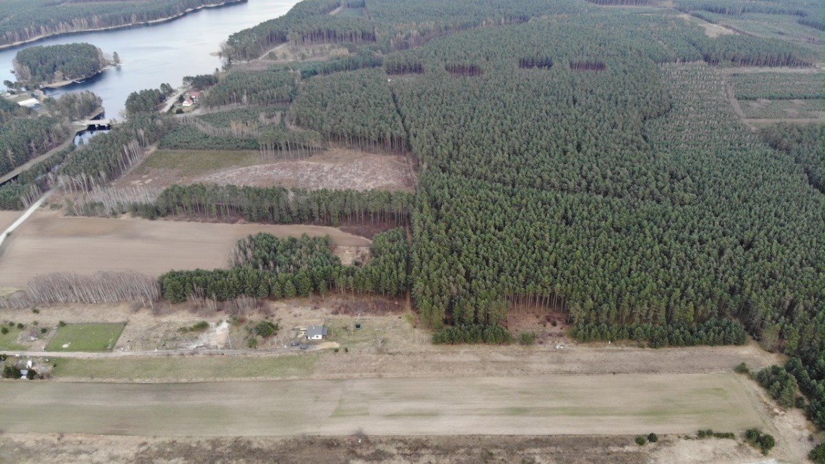 Działka rekreacyjna na sprzedaż Samociążek  3 061m2 Foto 6