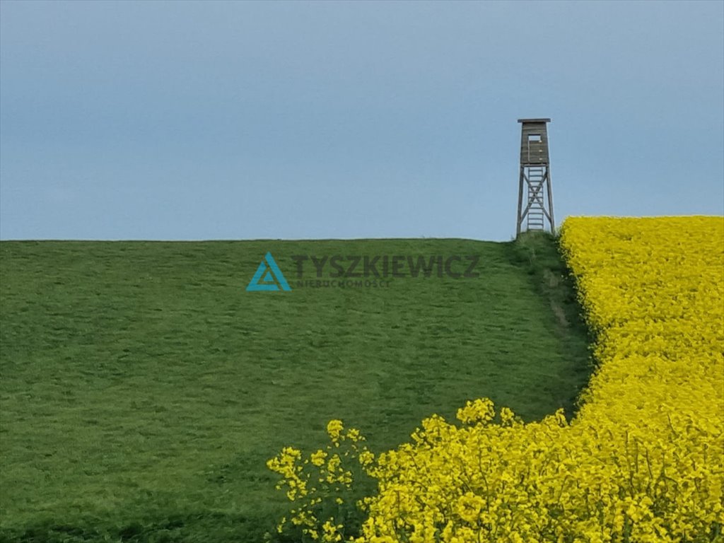 Działka rolna na sprzedaż Mierzeszyn  115 200m2 Foto 3