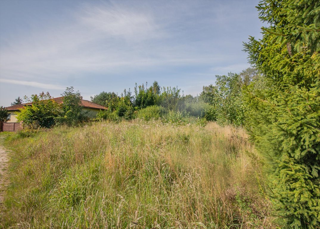 Działka budowlana na sprzedaż Kąpino  1 591m2 Foto 10