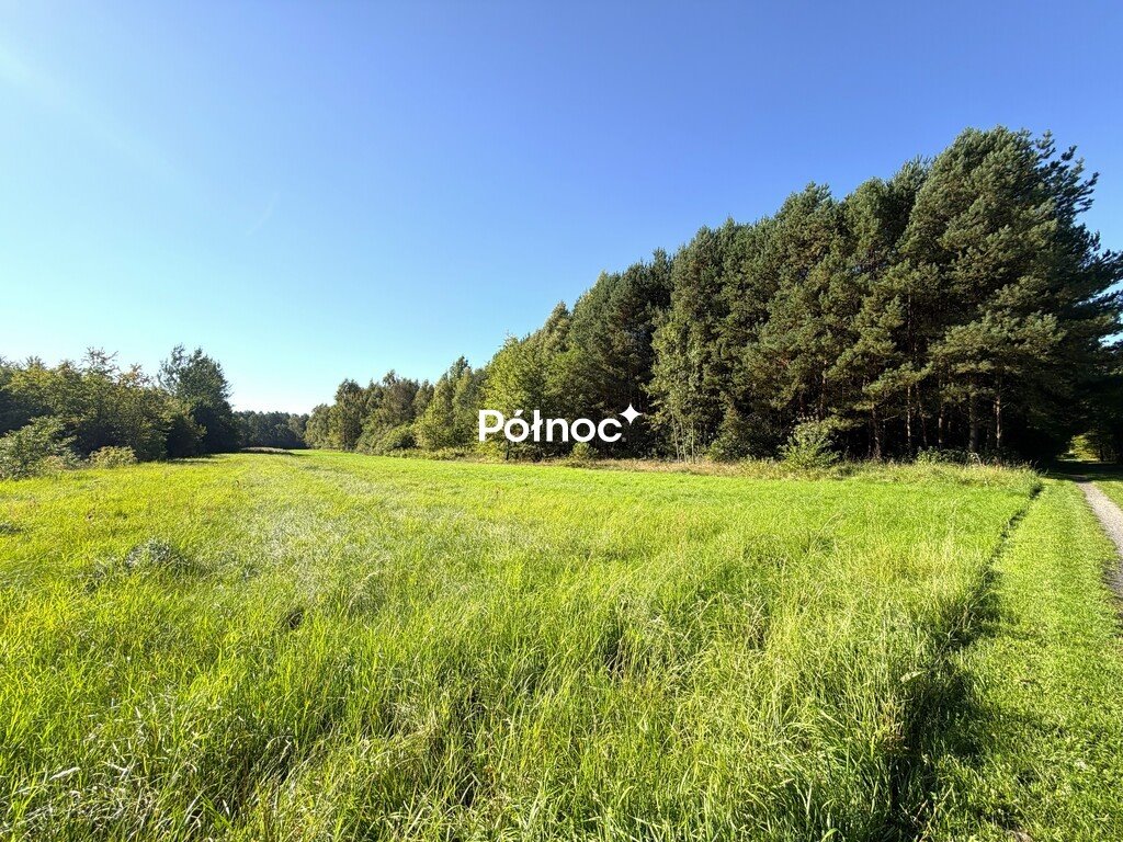 Działka 1,68 ha z dostępem do drogi i potencjałem. Pukarzów  16 800m2 Foto 1