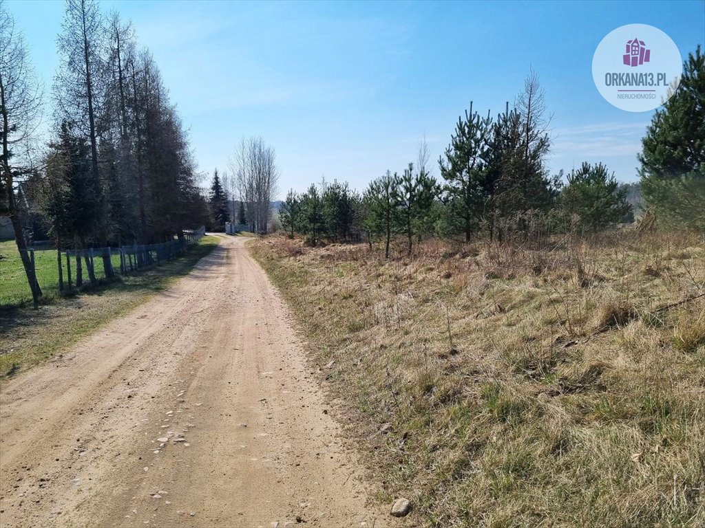 Działka rolna na sprzedaż Biesówko, Biesówko  4 093m2 Foto 12