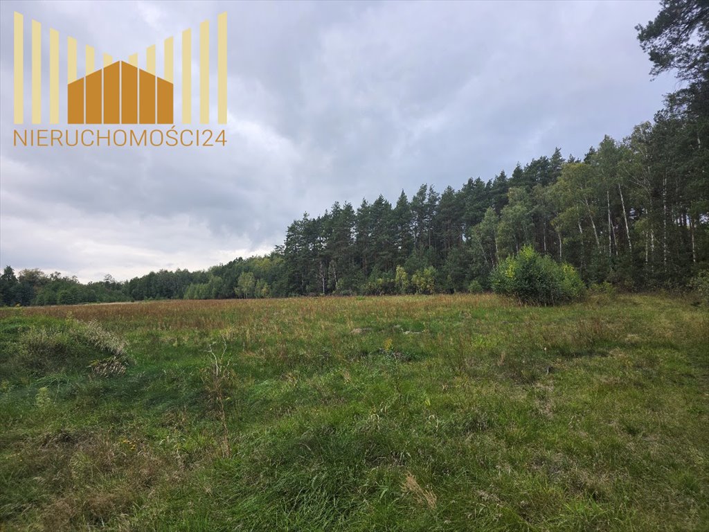 Polecam działki 1000 m² w Ławkach - las, spokój, inwestycja Ławki  1 000m2 Foto 1