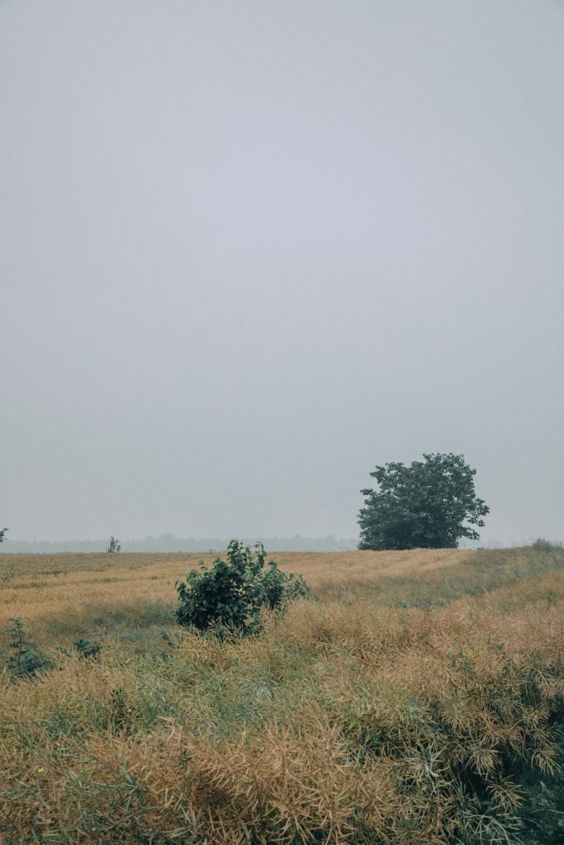 Działka gospodarstwo rolne na sprzedaż Kowale Oleckie  3 510m2 Foto 1