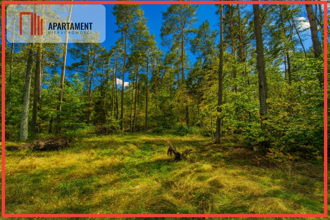 Działka 800 m² w Chwaszczynie z mediami i lasem Chwaszczyno  800m2 Foto 1