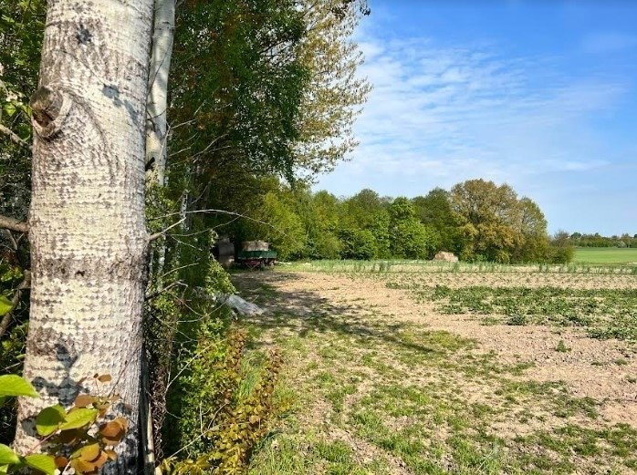 Działka budowlana na sprzedaż Goławin  4 300m2 Foto 9