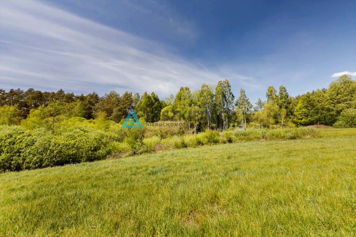 Działka rekreacyjna na sprzedaż Sarnowy  4 500m2 Foto 2