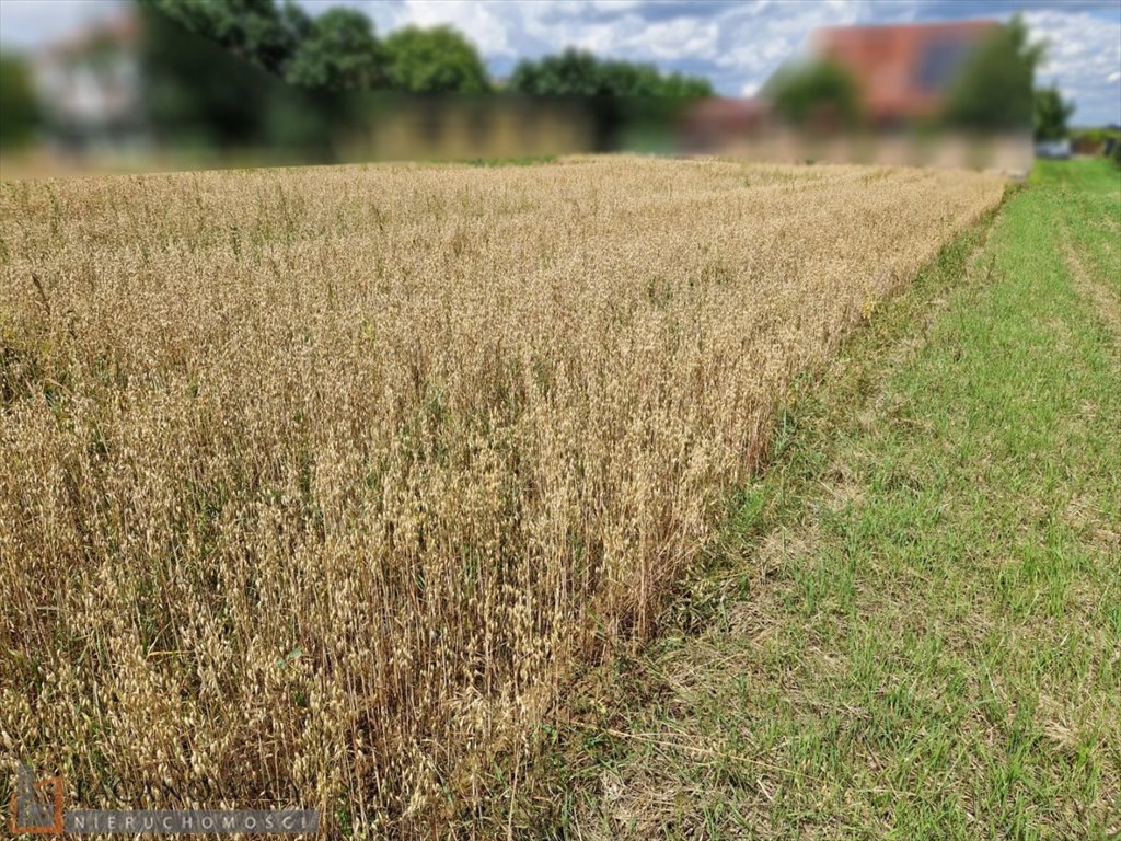 Zdjęcie 3