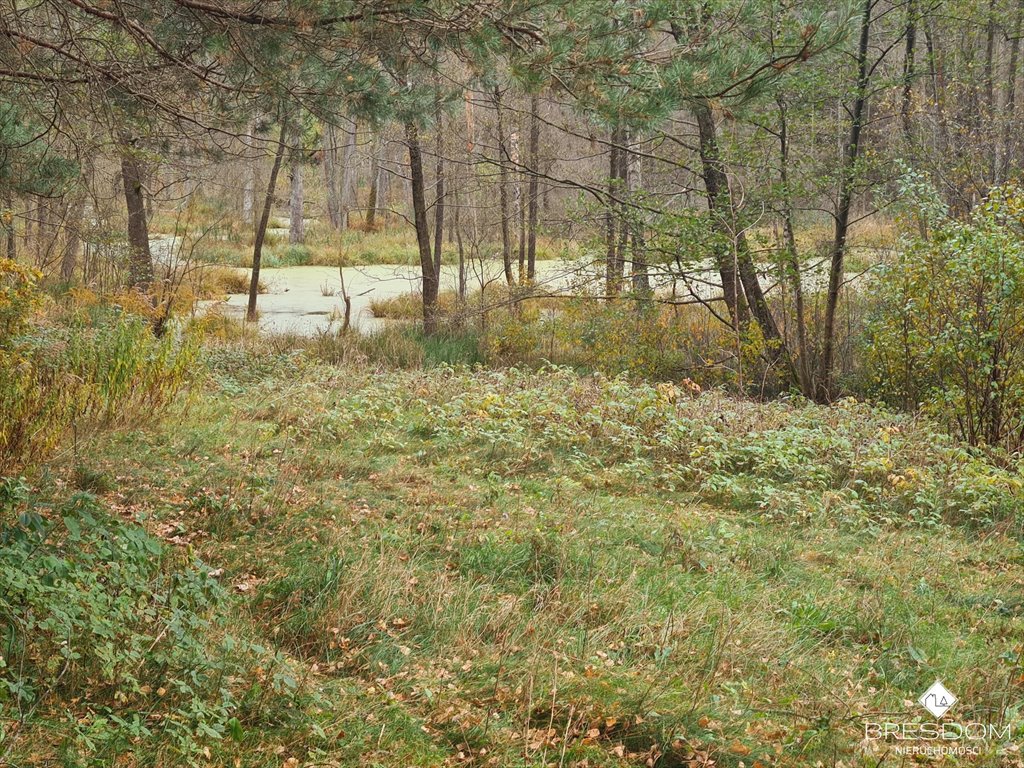 Działka rolna na sprzedaż Dywity  4 700m2 Foto 3