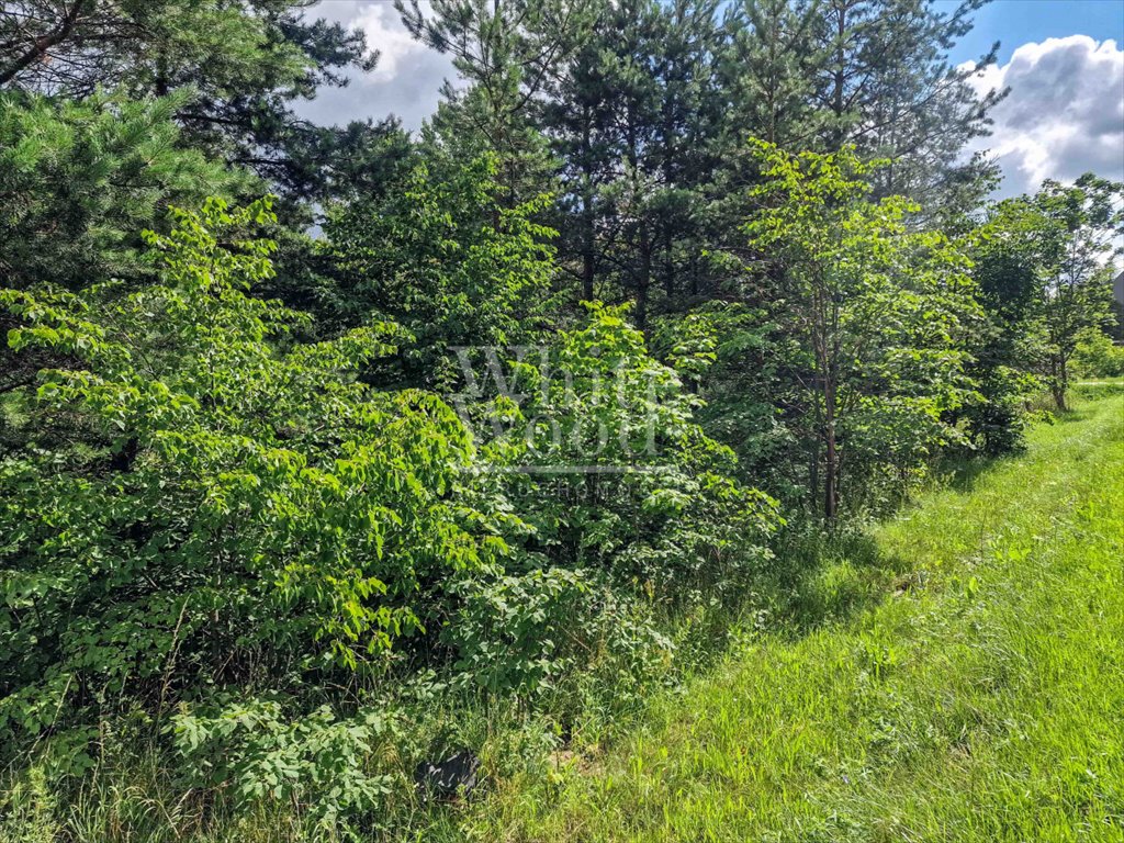 Działka budowlana na sprzedaż Bojano, Józefa Wybickiego  1 206m2 Foto 7