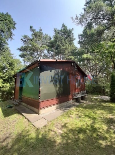 Urokliwy domek 40 m² w leśnej oazie, taras, własna studnia Łosie  40m2 Foto 1