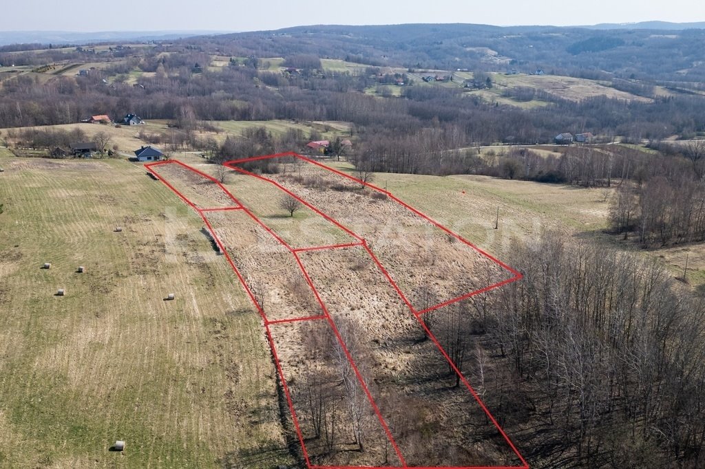 Działka 1,97 ha z widokiem na Rzeszów i możliwością zabudowy Lubenia  19 800m2 Foto 1