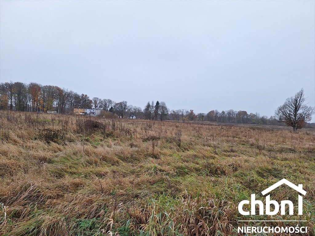 Działka rolna na sprzedaż Konarzyny, Żychce  10 000m2 Foto 10