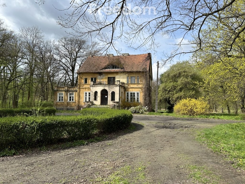 Dom na sprzedaż Drzązgowo  500m2 Foto 2