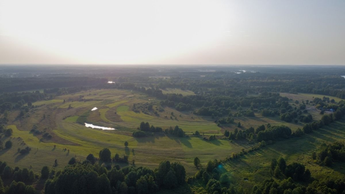 Działka inwestycyjna na sprzedaż Grądy Szlacheckie, Julianka  80 600m2 Foto 3