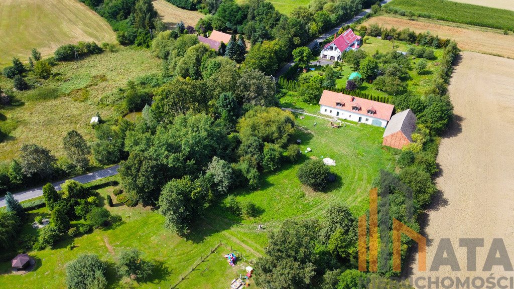 Działka inna na sprzedaż Kalinowice Górne  1 094m2 Foto 6