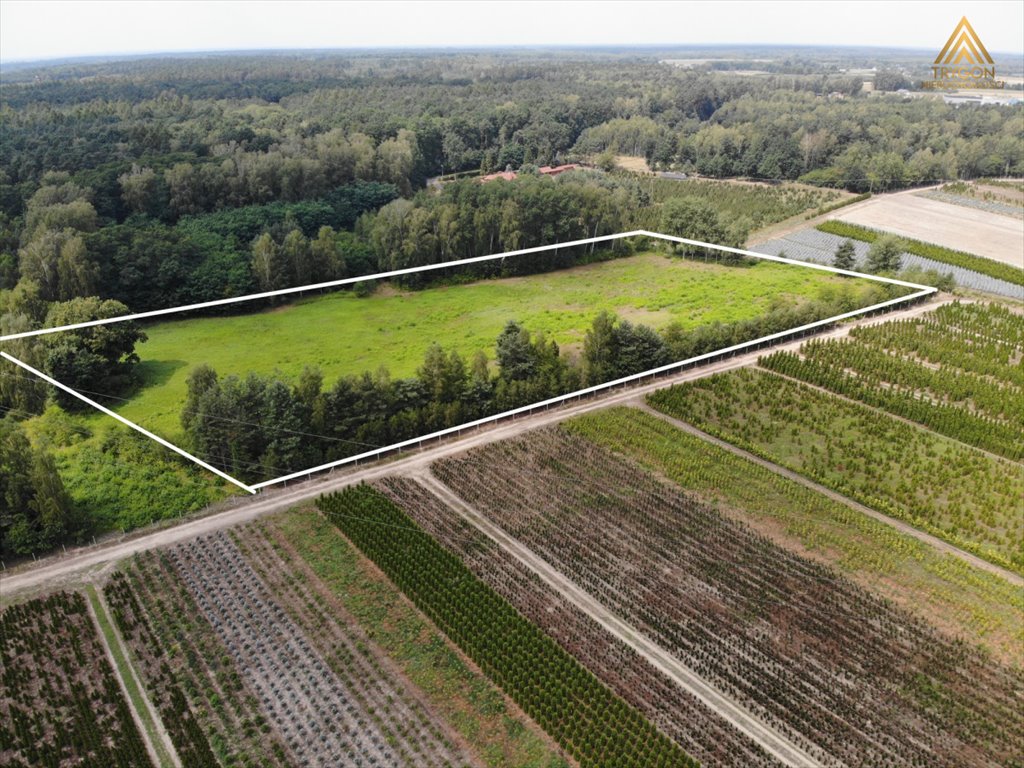 Działka rolna na sprzedaż Gąba  17 400m2 Foto 3