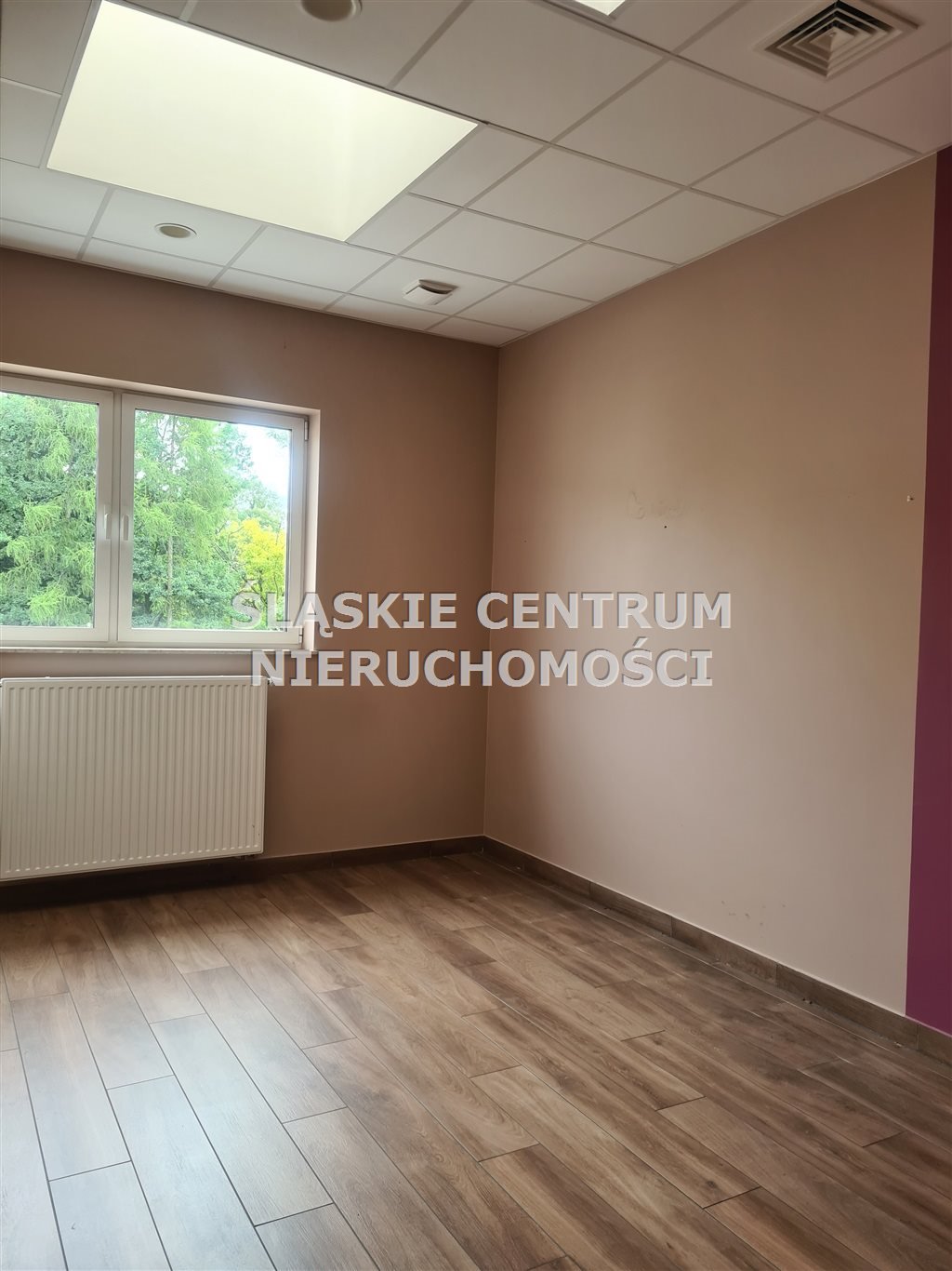 Lokal użytkowy na wynajem Sosnowiec, Stary Sosnowiec, Hallera  140m2 Foto 19