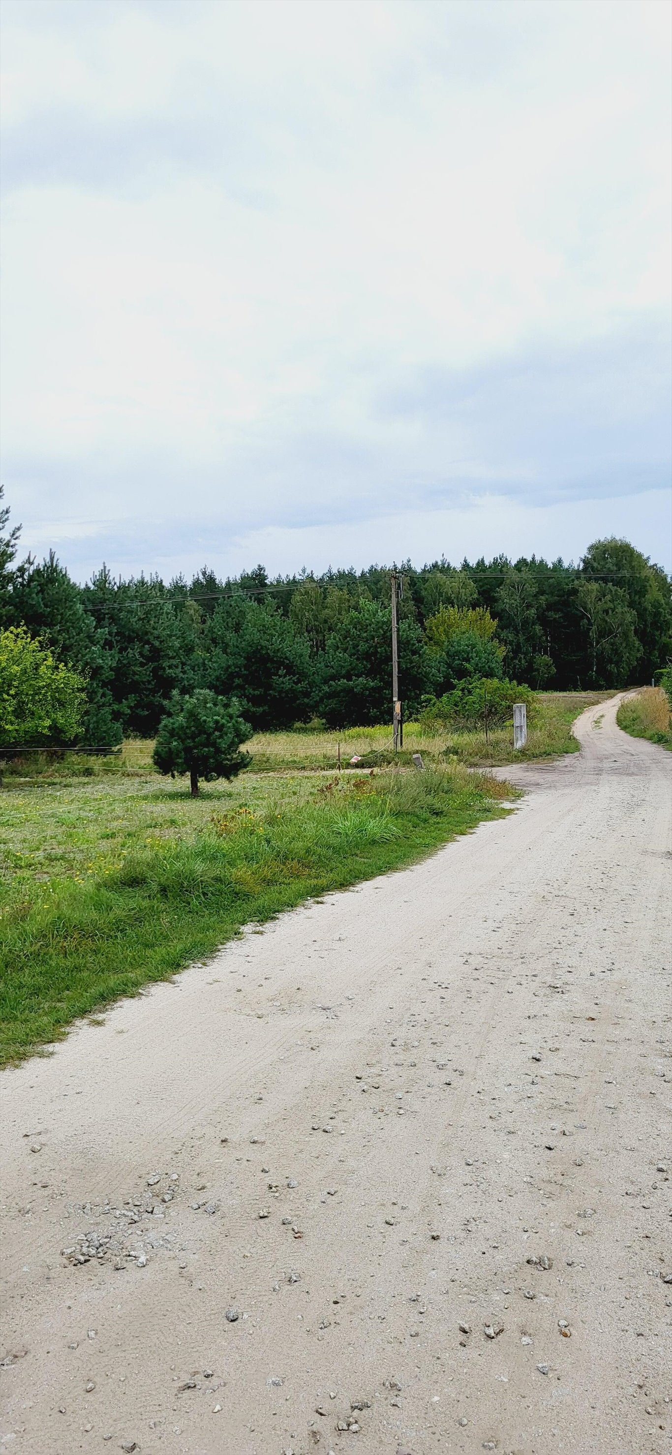 Działka budowlana na sprzedaż Wałdowo Szlacheckie  946m2 Foto 5