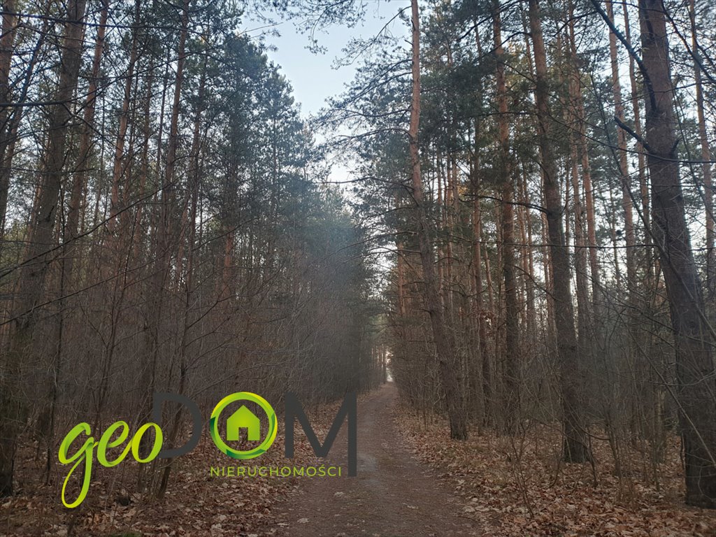 Działka leśna na sprzedaż Biała Podlaska, Ziemiańska  3 141m2 Foto 3