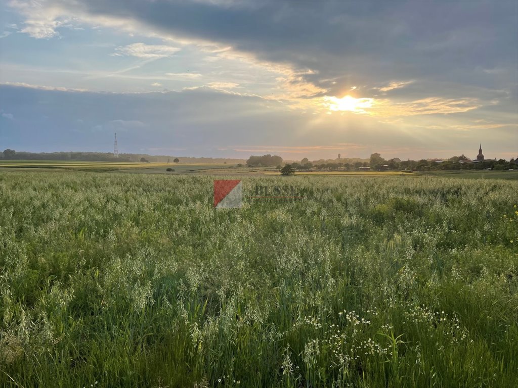 Działka budowlana na sprzedaż Przęsocin  800m2 Foto 5