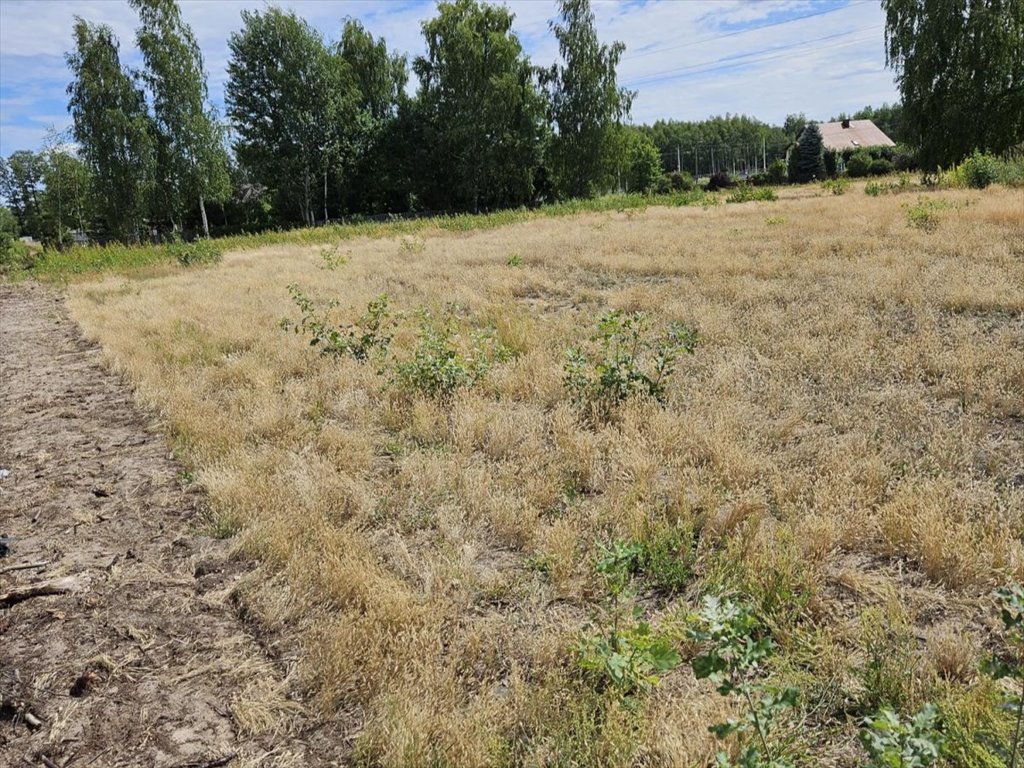 Działka budowlana na sprzedaż Michalczew  3 468m2 Foto 2