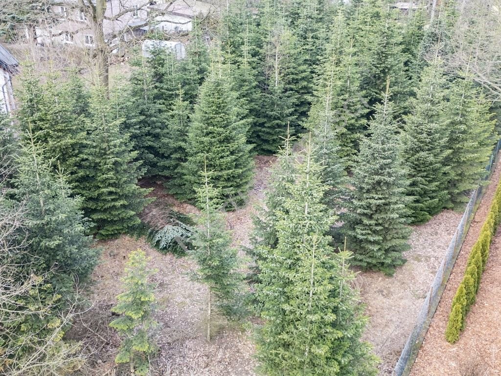 Działka 1412 m² w Milanówku, idealna pod dom marzeń Milanówek  1 412m2 Foto 1