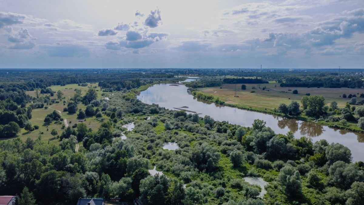 Działka budowlana na sprzedaż Kamieńczyk, Wierzbowa  1 255m2 Foto 6