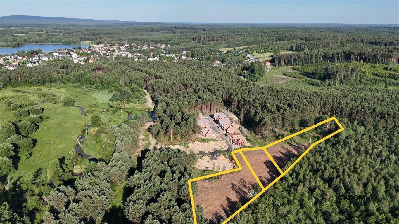 Polecam działki budowlane 6769 m² w Borkowie z lasem i jeziorem Borków, Brzozowa  6 769m2 Foto 1