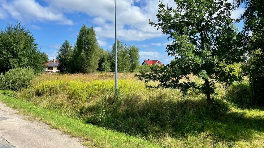 Działka budowlana na sprzedaż Budzistowo, Stare Miasto  1 591m2 Foto 1