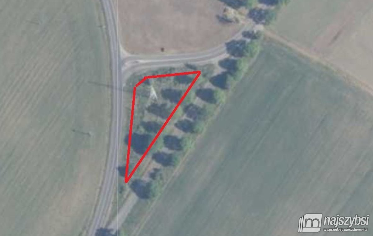 Działka rolna z drzewami i dostępem do drogi asfaltowej Ińsko, Obrzeża  1 559m2 Foto 1