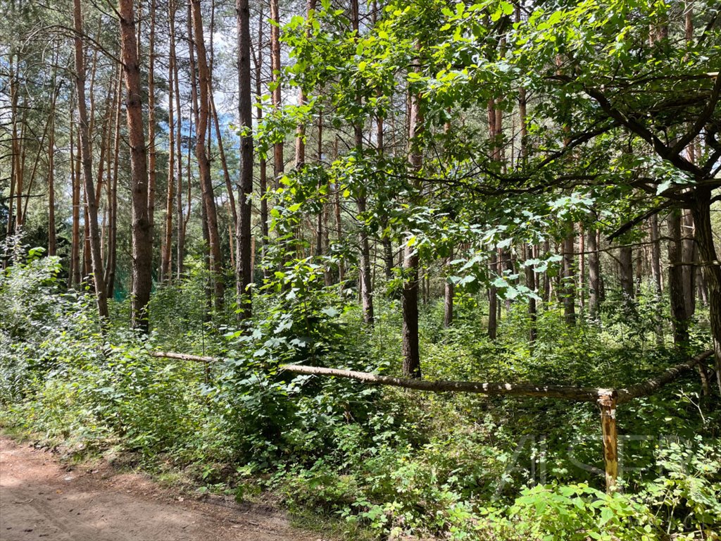 Na sprzedaż zadrzewiona działka 1144 m² pod letniskową zabudowę Brańszczyk, Brańszczyk-Nakieł, Spokojna  1 144m2 Foto 1