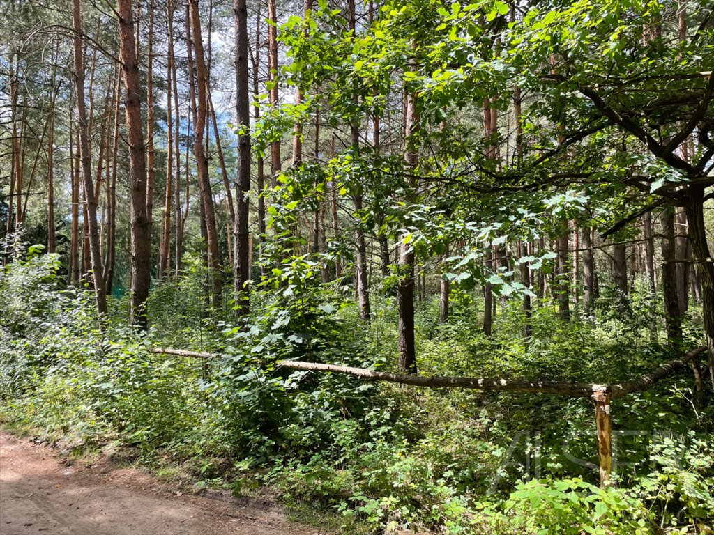 Działka rekreacyjna na sprzedaż Brańszczyk, Brańszczyk-Nakieł, Spokojna  1 144m2 Foto 1