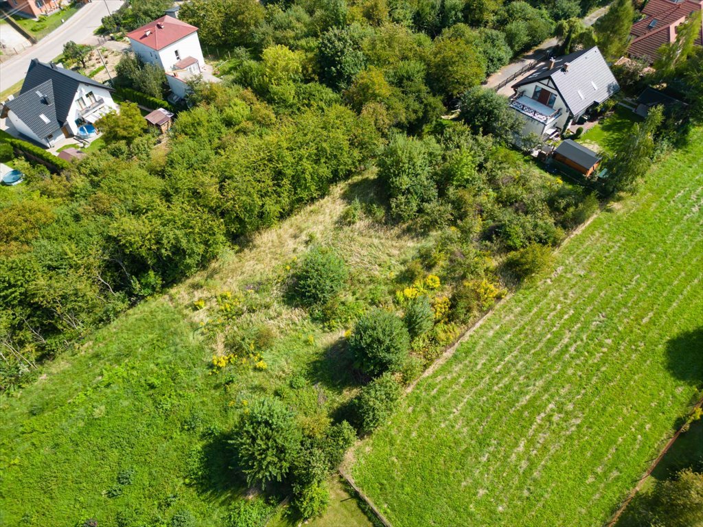 Działka rolna na sprzedaż Szewna, Mariana Langiewicza 43b  1 515m2 Foto 8