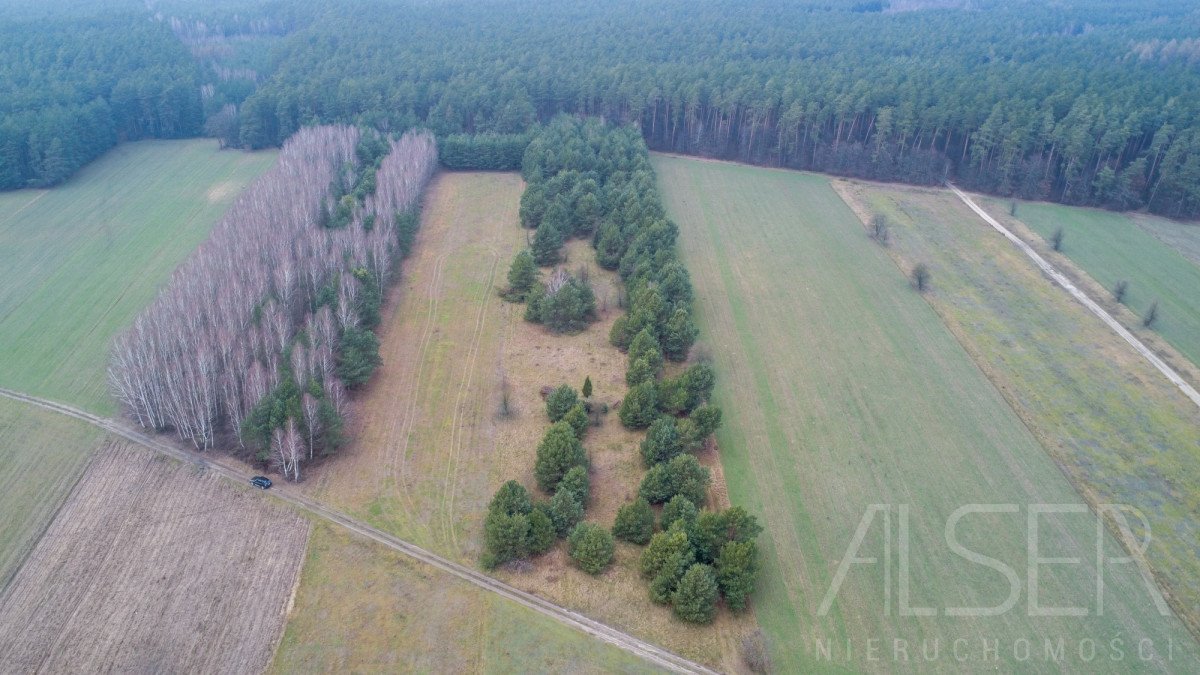 Działka rolna na sprzedaż Laskowizna  15 000m2 Foto 2