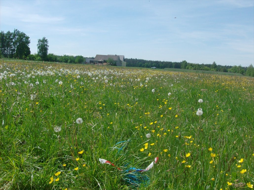 Działka budowlana na sprzedaż Piaski, Piaski  3 001m2 Foto 8