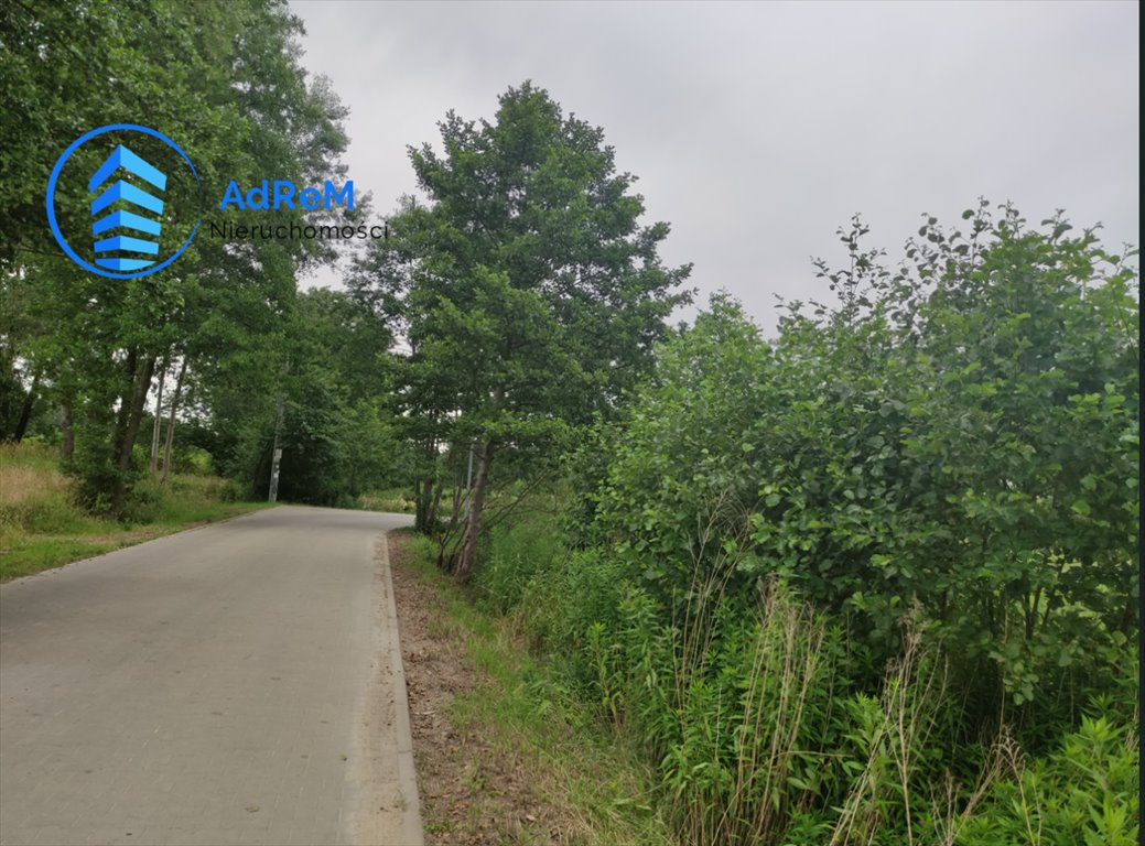 Działka 9 373 m² z dostępem do dróg i mediów Wilcza Wólka  9 373m2 Foto 1