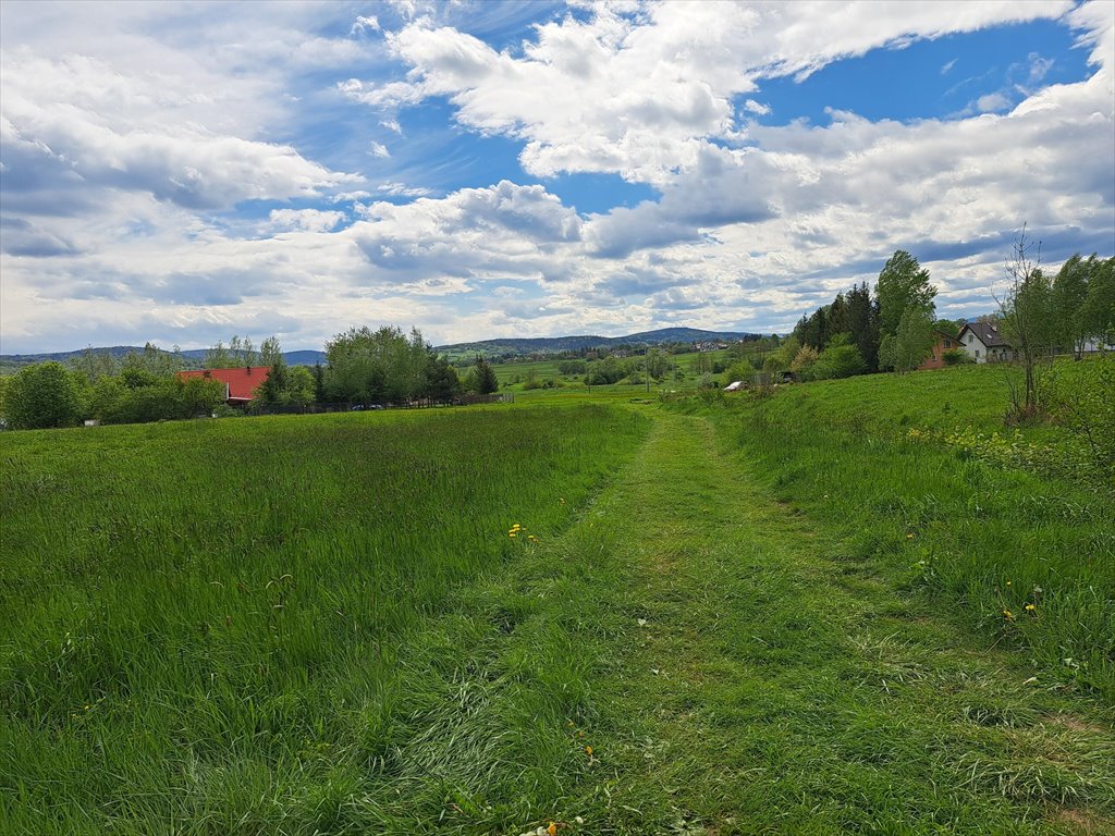 Działka budowlana na sprzedaż Lipinki  3 031m2 Foto 3