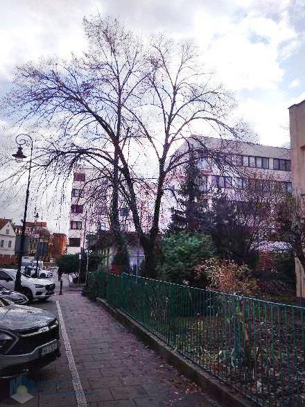 Mieszkanie trzypokojowe na sprzedaż Warszawa, Śródmieście, Stare Miasto, Kilińskiego Jana  54m2 Foto 1