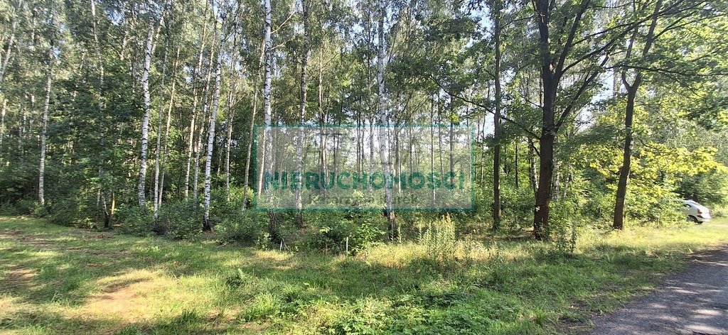 Zdjęcie 3