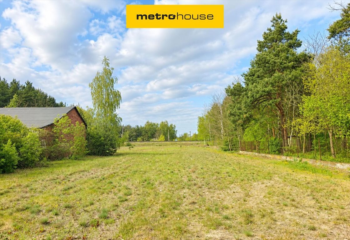 Na sprzedaż duża działka 4990 m² z lasem i spokojem w Miedniewicach Miedniewice  4 990m2 Foto 1