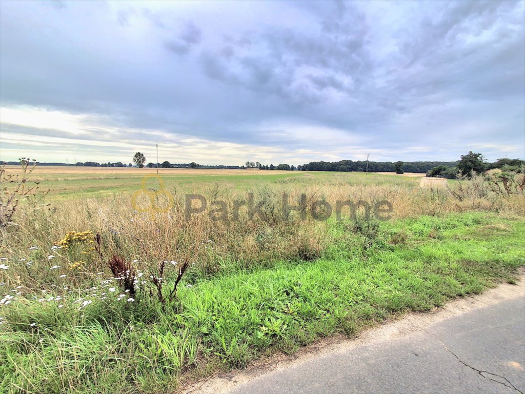 Działka budowlana na sprzedaż Droglowice  3 000m2 Foto 1