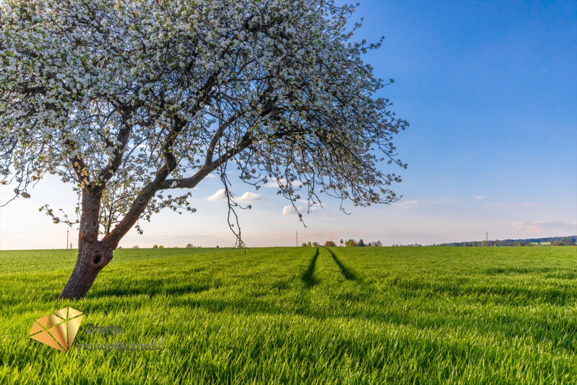 Działka rolna na sprzedaż Piotrkówek  3 200m2 Foto 7