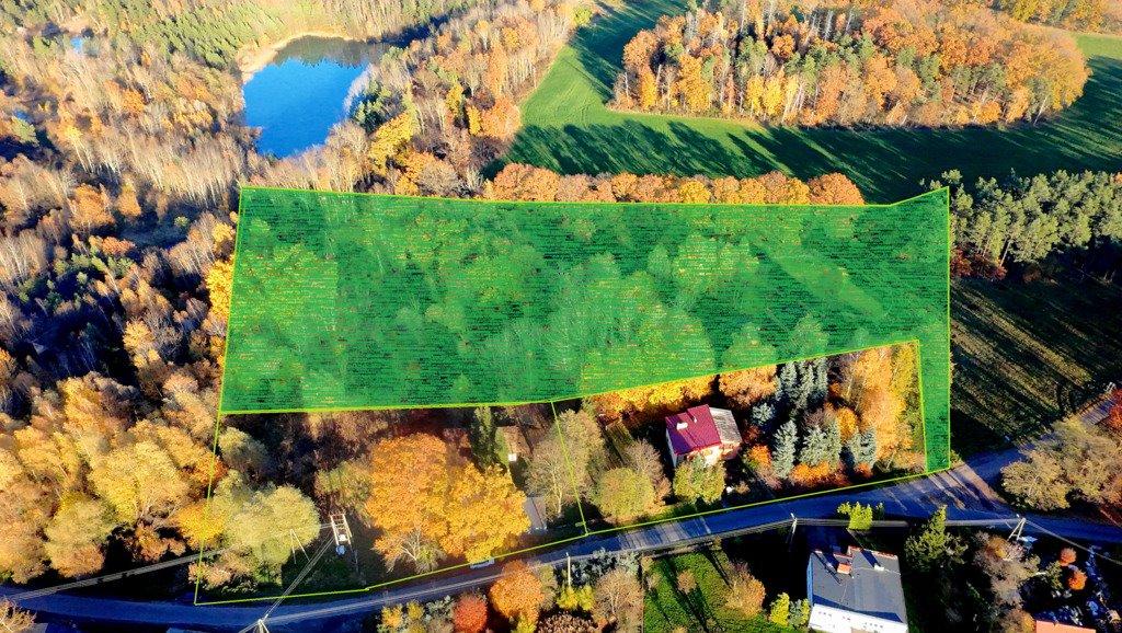 Działka inna na sprzedaż Drzeniów  13 134m2 Foto 1