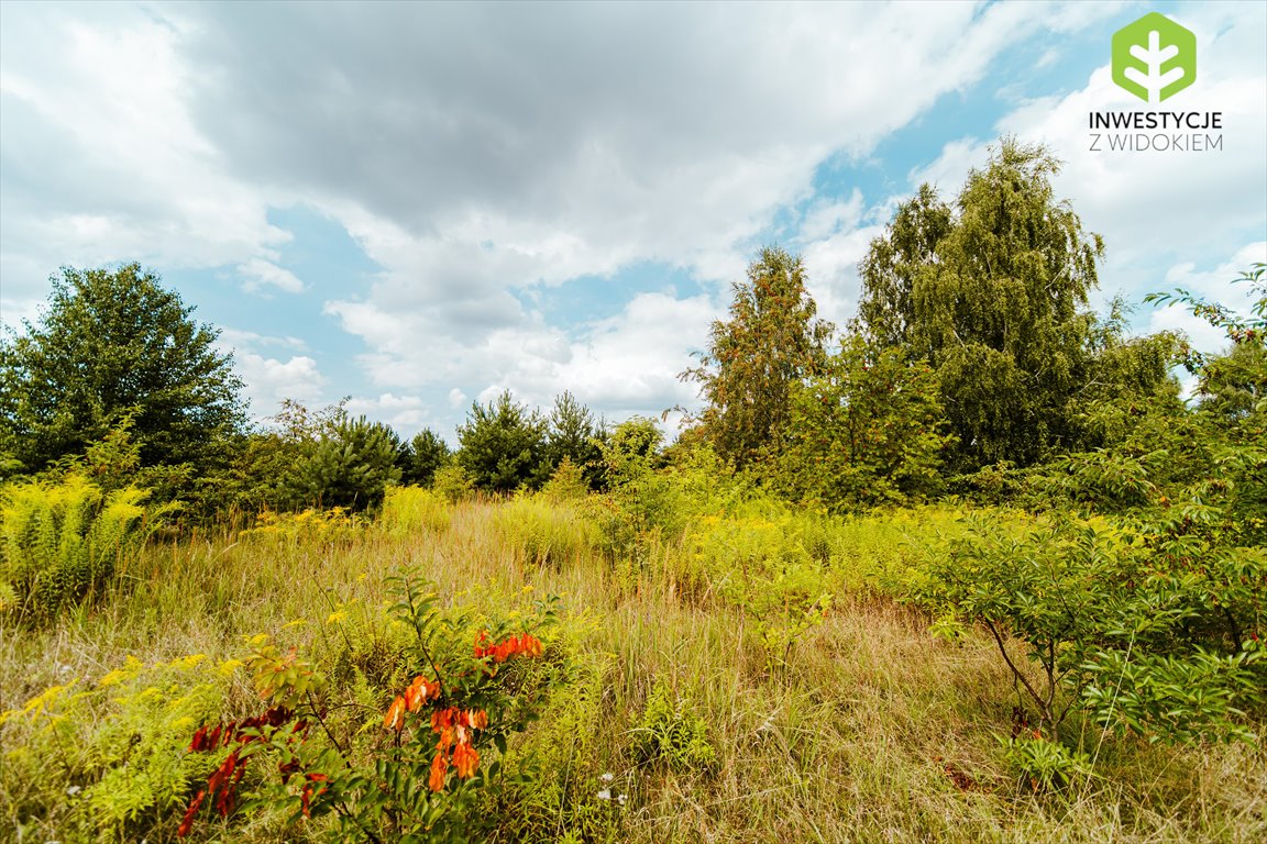 Działka budowlana na sprzedaż Kiełmina, Unikalne działki budowlane na sprzedaż  2 000m2 Foto 6