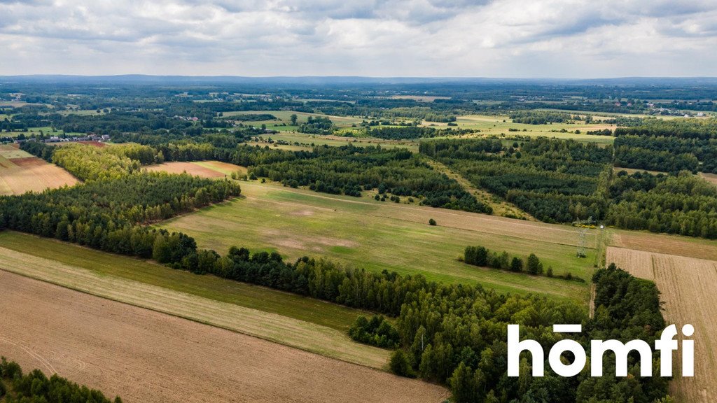 Działka rolna na sprzedaż Zdziechów  45 600m2 Foto 15