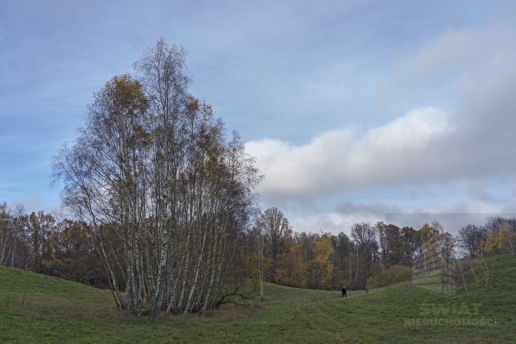 Działka 8,44 ha w pięknej okolicy, idealna pod inwestycję Sarnikierz  84 400m2 Foto 1