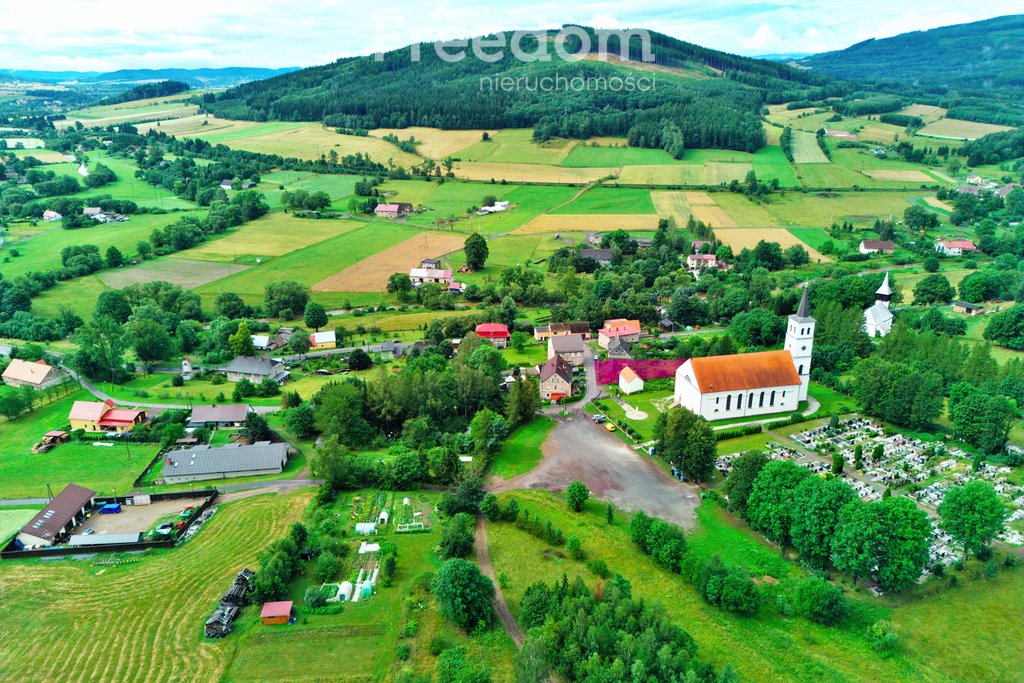 Działka budowlana na sprzedaż Marciszów, Sołecka  1 125m2 Foto 4