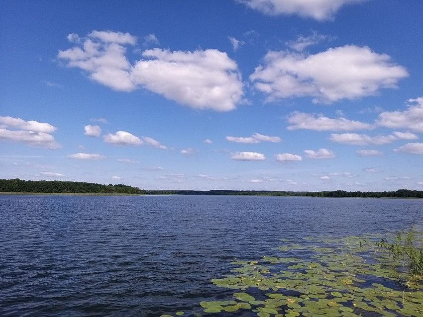 Działka rolna na sprzedaż Targowo  3 365m2 Foto 12